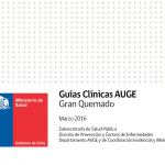 Guías Clínicas AUGE Gran Quemado Marzo 2016