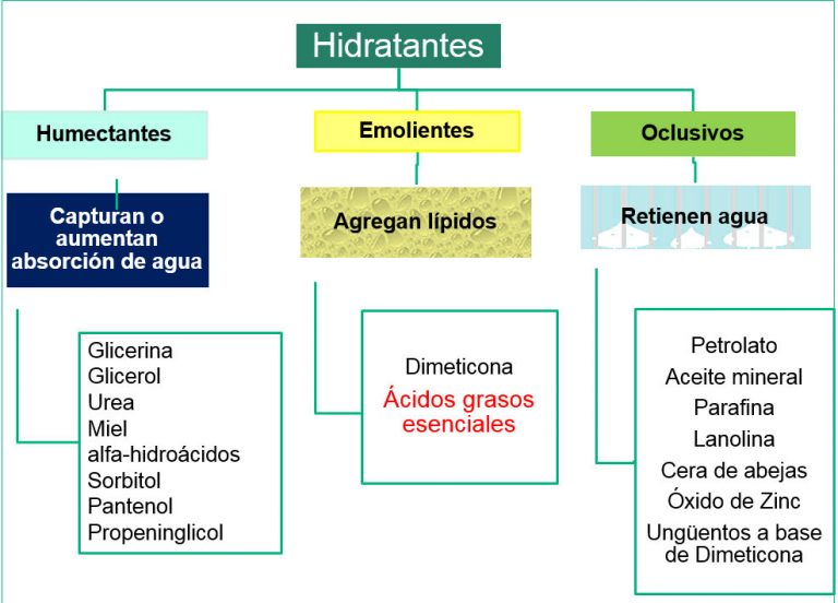Preparaci n Del Lecho De La Herida EL TIME EN PR CTICA EN UPD preparaci-n-del-lecho-de-la-herida-el-time-en-pr-ctica-en-upd