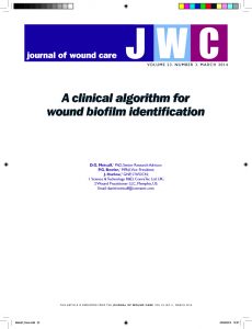 A clinical algorithm for wound biofilm identification